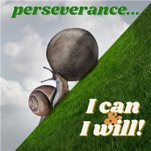 perseverance