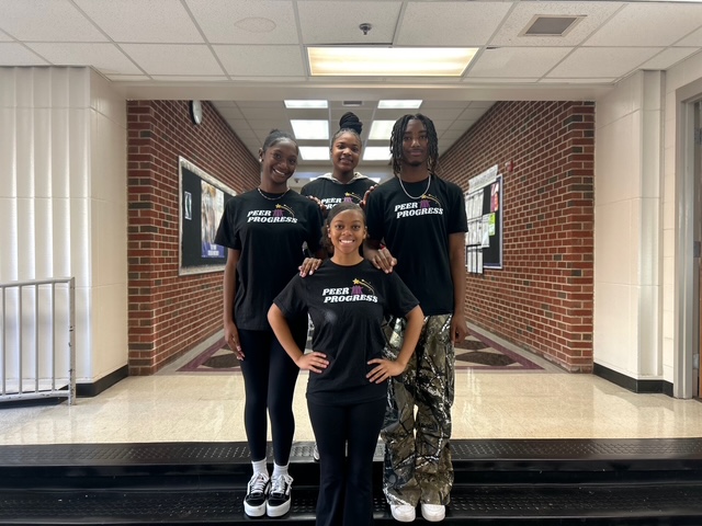 Peer Progress Officers